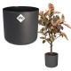 Elho Round Indoor Flowerpot,  22cm - Anthracite